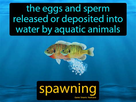 spanwang|spawning definition gaming.
